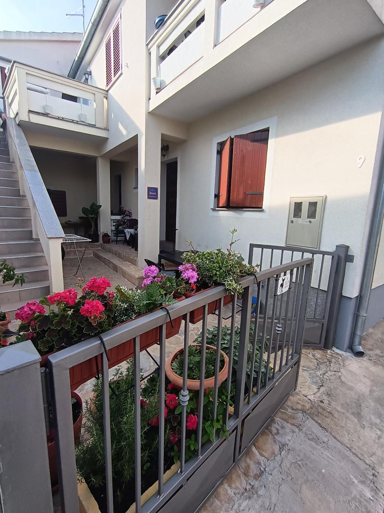 Apartment Dukic Sveti Filip i Jakov Exteriör bild